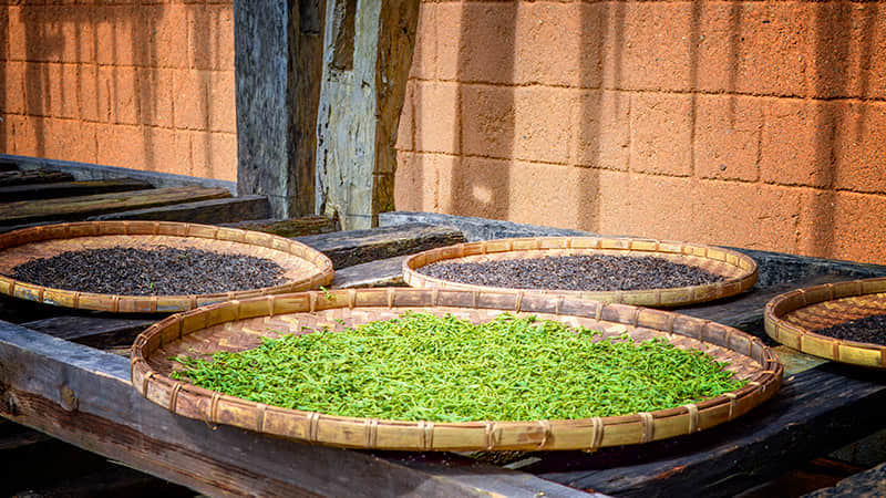 碾茶流水線(xiàn)車(chē)間設(shè)備流程